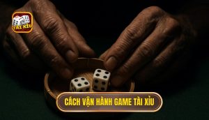 cách vận hành game tài xỉu