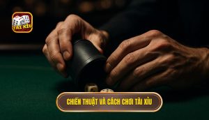 chiến thuật và cách chơi tài xỉu
