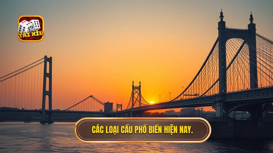 Các loại cầu phổ biến mà bạn cần nằm lòng