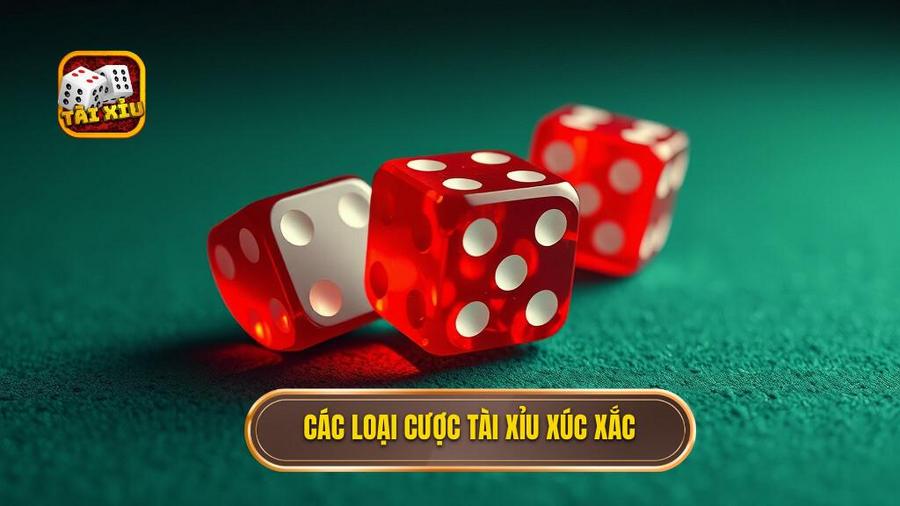 Các Loại Hình Cược Phổ Biến Trong Tài Xỉu 3 Viên Xúc Xắc