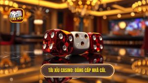 Tài Xỉu Casino: Nghệ Thuật Chinh Phục Những Con Xúc Xắc Tại a-different-view.com