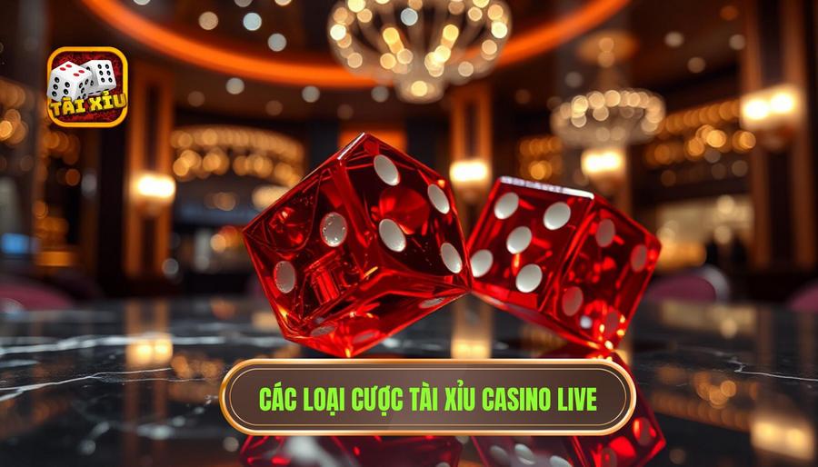 Các loại cược tài xỉu casino live