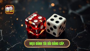 Mẹo đánh Tài Xỉu đẳng cấp