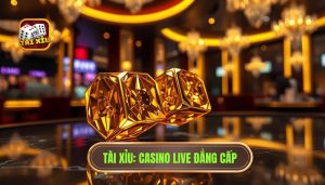 TÀI XỈU_ Casino Live Đẳng Cấp