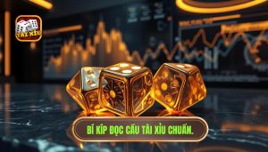 kinh nghiệm đọc cầu